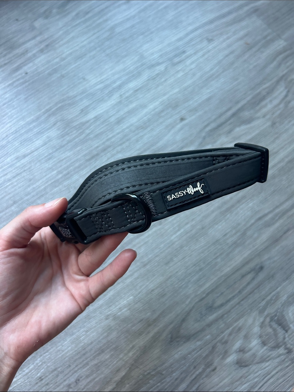 Iridescent Sassy Woof Reflective Dog collar - Picture 2 of 4